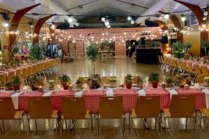 Mise en lumière guirlandes guinguettes