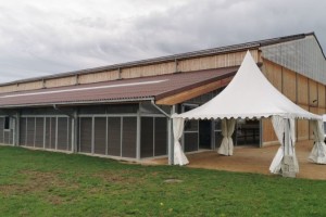 Concours équestre