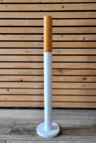 cigarette usage by state 2FIRSTS